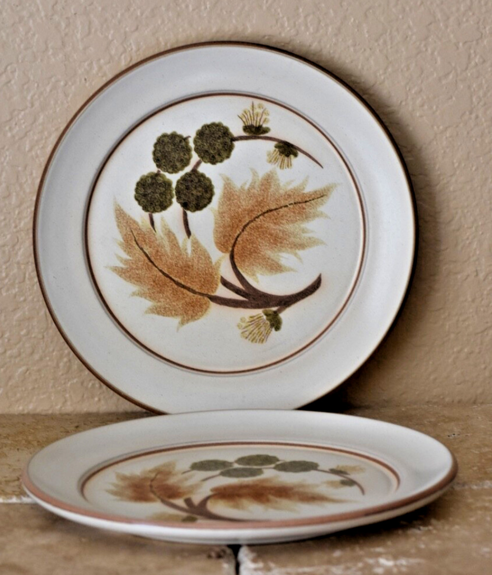 Denby COTSWOLD PATTERN Dinner Plates ENGLAND Set Of (2) MCM